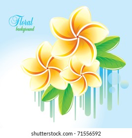 Floral background with frangipani.