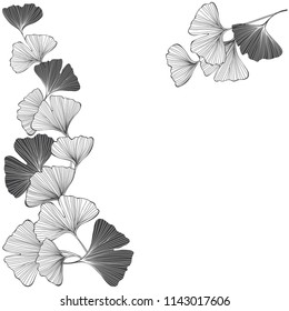 Floral background with ginkgo biloba on a white background. Vector illustration with place for text. Greeting card, invitation or isolated elements for design.