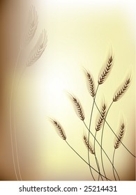 Floral background Grain ears