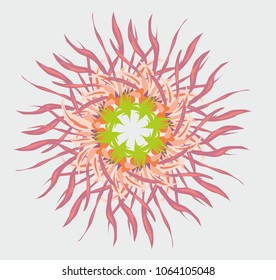 Floral background graphic design vector art