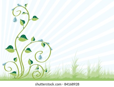 	Floral background with the grass