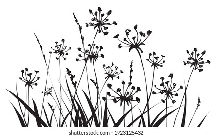 Floral background with grass and flowers silhouettes. Spring or summer background. Vector illustration.