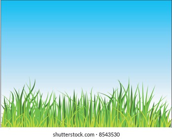 floral background grass on blue sky