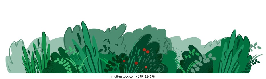 Floral background with green bushes, grass, leaves, red berries isolated on white. Horizontal banner template with wild plants for posters, invitations. Green eco field concept. Vector illustration