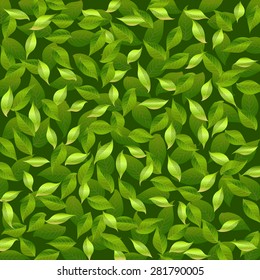 Floral background of green leaves