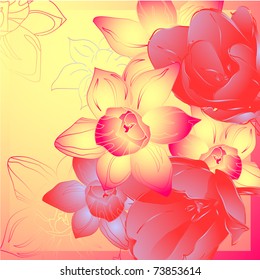 floral background, greeting card