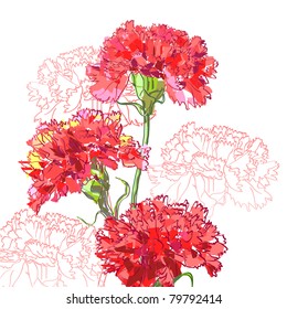 Floral background, greeting card. Carnation flowers.