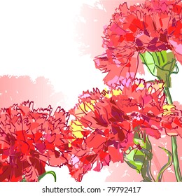 Floral background, greeting card. Carnation flowers.