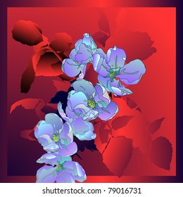 Floral background, greeting card. Flowers of an apple-tree.
