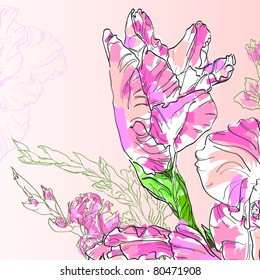 Floral background, greeting card. Gladiolus flowers.