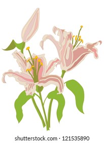 Floral background, greeting card. Lily flowers with bud and leaves.