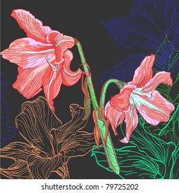 Floral background, greeting card. Lily flowers.