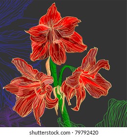 Floral background, greeting card. Lily flowers.
