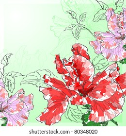 Floral background, greeting card. A rose.