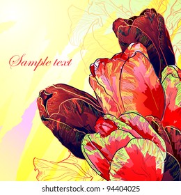Floral background, greeting card. Tulip flowers.