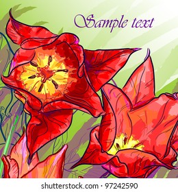 Floral background, greeting card. Tulip flowers.