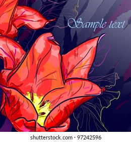 Floral background, greeting card. Tulip flowers.