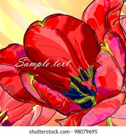 Floral background, greeting card. Tulip flowers.