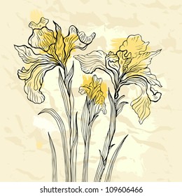 Floral background. Hand drawn flowers. Iris. Vector illustration.