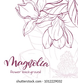 Floral background. Hand drawn vector botanical illustration. Template greeting card, wedding invitation banner with spring flowers. Sketch linear magnolia blossom.Engraved style illustration.