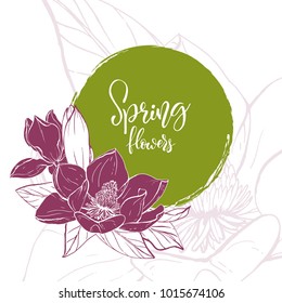 Floral background. Hand drawn vector botanical illustration. Template greeting card, wedding invitation banner with spring flowers. Sketch linear magnolia blossom.Engraved style illustration.