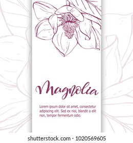 Floral background. Hand drawn vector botanical illustration. Template greeting card, wedding invitation banner with spring flowers. Sketch linear magnolia blossom.Engraved style illustration.