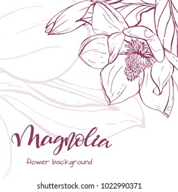 Floral background. Hand drawn vector botanical illustration. Template greeting card, wedding invitation banner with spring flowers. Sketch linear magnolia blossom.Engraved style illustration.