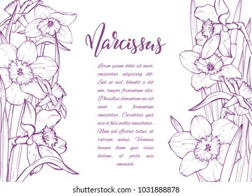 Floral background. Hand drawn vector botanical illustration. Template greeting card, wedding invitation banner with spring flowers. Sketch linear narcissus blossom.Engraved style illustration.