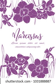 Floral background. Hand drawn vector botanical illustration. Template greeting card, wedding invitation banner with spring flowers. Sketch linear narcissus blossom.Engraved style illustration.