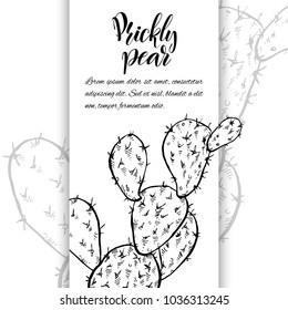 Floral background. Hand drawn vector botanical illustration. Template greeting card, wedding invitation banner with spring flowers. Black and white of opuntia cactus. Engraved style illustration.