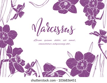 Floral background. Hand drawn vector botanical illustration. Template greeting card, wedding invitation banner with spring flowers. Sketch linear narcissus blossom.Engraved style illustration.