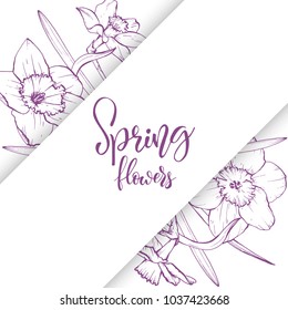 Floral background. Hand drawn vector botanical illustration. Template greeting card, wedding invitation banner with spring flowers. Sketch linear narcissus blossom.Engraved style illustration.