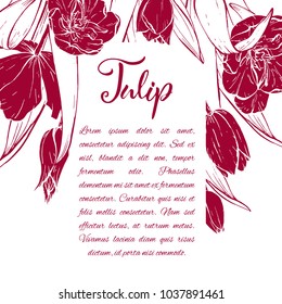 Floral background. Hand drawn vector botanical illustration. Template greeting card, wedding invitation banner with spring flowers. Sketch linear tulips blossom.Engraved style illustration.