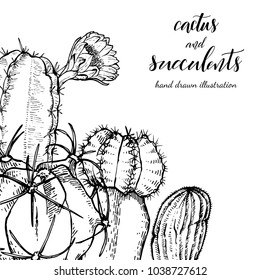 Floral background. Hand drawn vector botanical illustration. Template greeting card, wedding invitation banner with spring flowers. Sketch linear cactus ans succulents . Engraved style illustration.