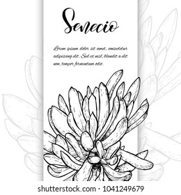 Floral background. Hand drawn vector botanical illustration. Template greeting card, wedding invitation banner with spring flowers. Black and white of seneciocactus. Engraved style illustration.