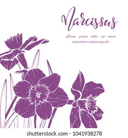Floral background. Hand drawn vector botanical illustration. Template greeting card, wedding invitation banner with spring flowers. Sketch linear narcissus blossom.Engraved style illustration.