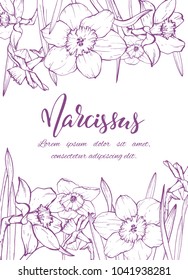 Floral background. Hand drawn vector botanical illustration. Template greeting card, wedding invitation banner with spring flowers. Sketch linear narcissus blossom.Engraved style illustration.