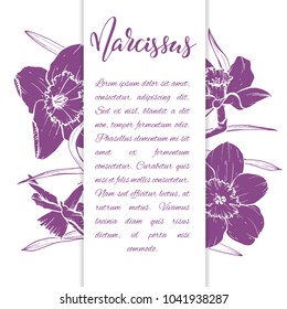 Floral background. Hand drawn vector botanical illustration. Template greeting card, wedding invitation banner with spring flowers. Sketch linear narcissus blossom.Engraved style illustration.