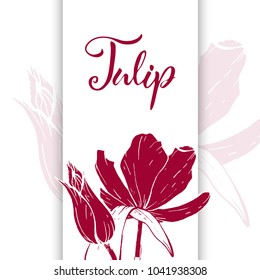 Floral background. Hand drawn vector botanical illustration. Template greeting card, wedding invitation banner with spring flowers. Sketch linear tulips blossom.Engraved style illustration.