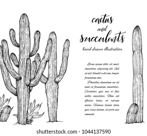 Floral background. Hand drawn vector botanical illustration. Template greeting card, wedding invitation banner with spring flowers. Sketch linear cactus ans succulents . Engraved style illustration.