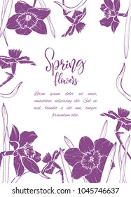 Floral background. Hand drawn vector botanical illustration. Template greeting card, wedding invitation banner with spring flowers. Sketch linear narcissus blossom.Engraved style illustration.