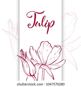 Floral background. Hand drawn vector botanical illustration. Template greeting card, wedding invitation banner with spring flowers. Sketch linear tulips blossom.Engraved style illustration.
