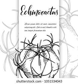 Floral background. Hand drawn vector botanical illustration. Template greeting card, wedding invitation banner with spring flowers. Black and white of echinocactus. Engraved style illustration.