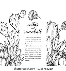Floral background. Hand drawn vector botanical illustration. Template greeting card, wedding invitation banner with spring flowers. Sketch linear cactus ans succulents . Engraved style illustration.