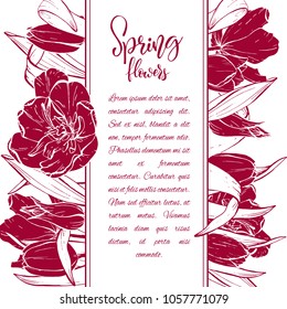 Floral background. Hand drawn vector botanical illustration. Template greeting card, wedding invitation banner with spring flowers. Sketch linear tulips blossom.Engraved style illustration.