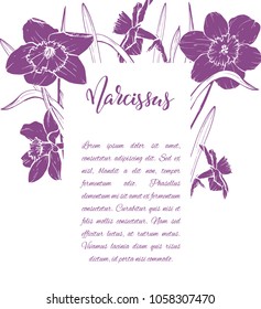 Floral background. Hand drawn vector botanical illustration. Template greeting card, wedding invitation banner with spring flowers. Sketch linear narcissus blossom.Engraved style illustration.