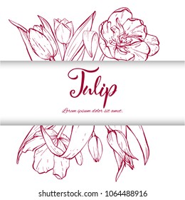 Floral background. Hand drawn vector botanical illustration. Template greeting card, wedding invitation banner with spring flowers. Sketch linear tulips blossom.Engraved style illustration.
