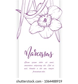 Floral background. Hand drawn vector botanical illustration. Template greeting card, wedding invitation banner with spring flowers. Sketch linear narcissus blossom.Engraved style illustration.