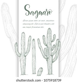 Floral background. Hand drawn vector botanical illustration. Template greeting card, wedding invitation banner with spring flowers. Sketch linear cactus ans succulents . Engraved style illustration.
