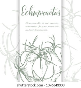 Floral background. Hand drawn vector botanical illustration. Template greeting card, wedding invitation banner with spring flowers. Sketch linear cactus ans succulents . Engraved style illustration.